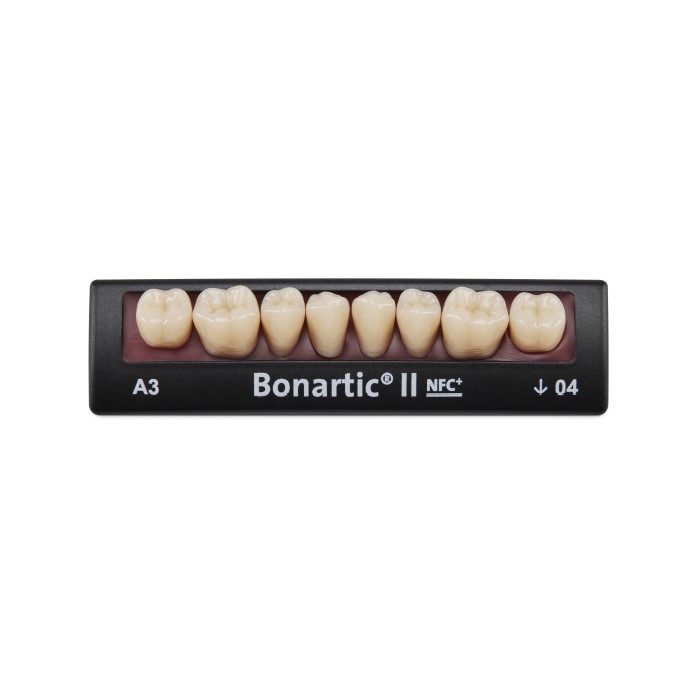 Bonartic II NFC+ Set od 8Laboratorij-Zubi za protezeThe occlusion morphology of the lower posterior teeth stands in relation to the condyle path.…