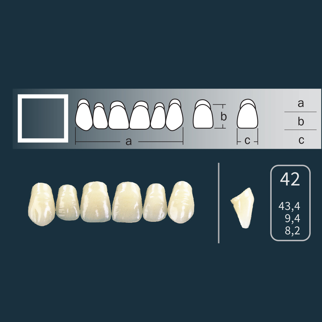 Cross Linked 2 - Prednji zubi