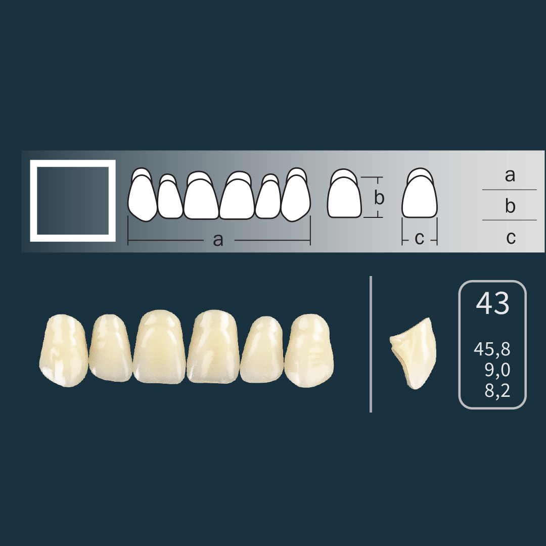 Cross Linked 2 - Prednji zubi
