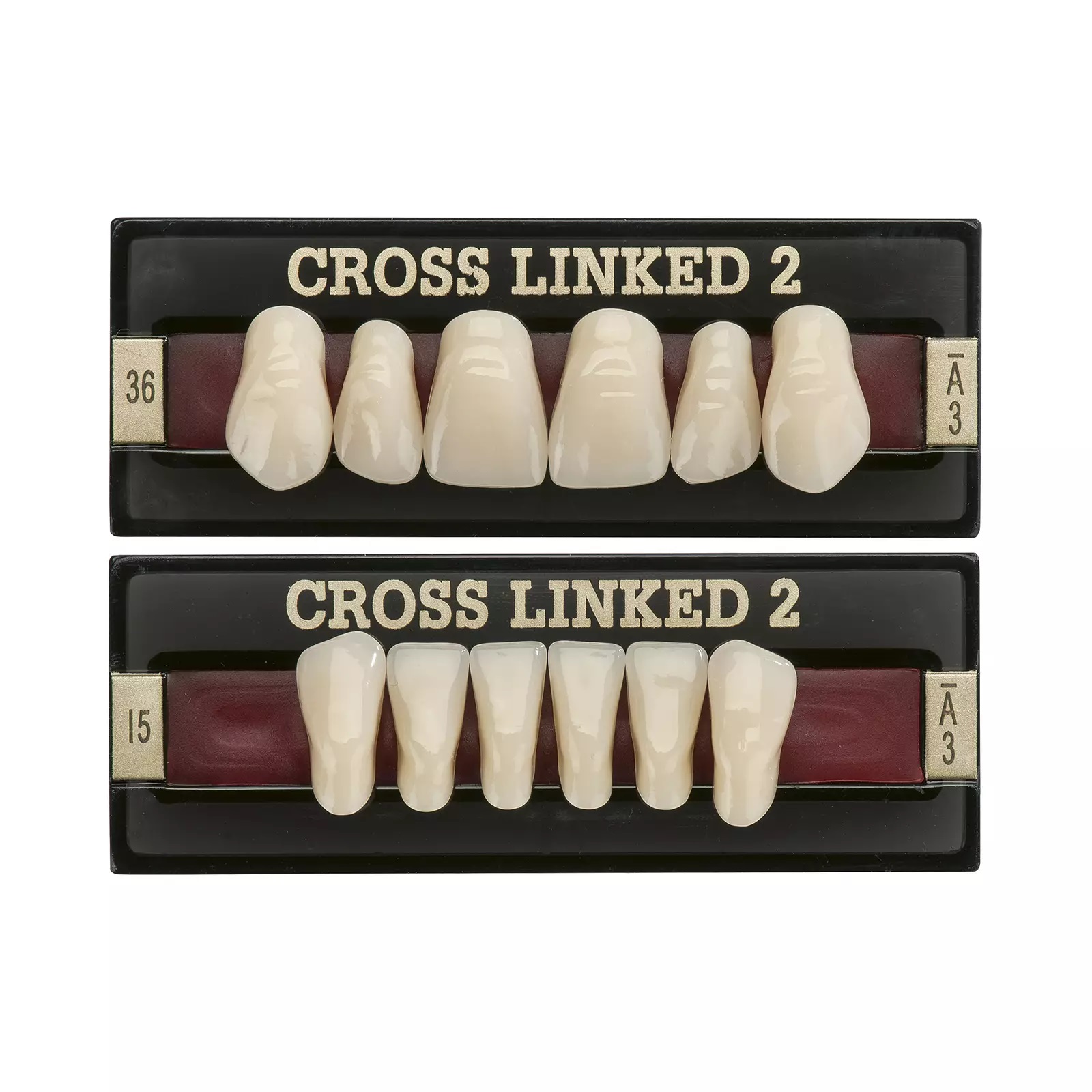 Cross Linked 2 - Prednji zubi