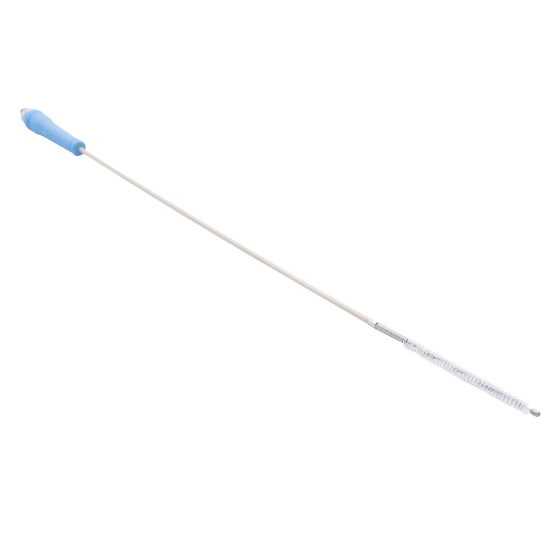 Steam brush